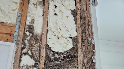 Termite Control