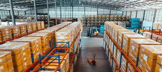 Commercial Pest Control